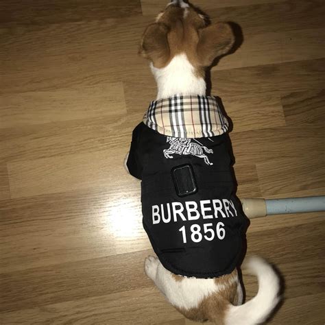 designer dog coats burberry.